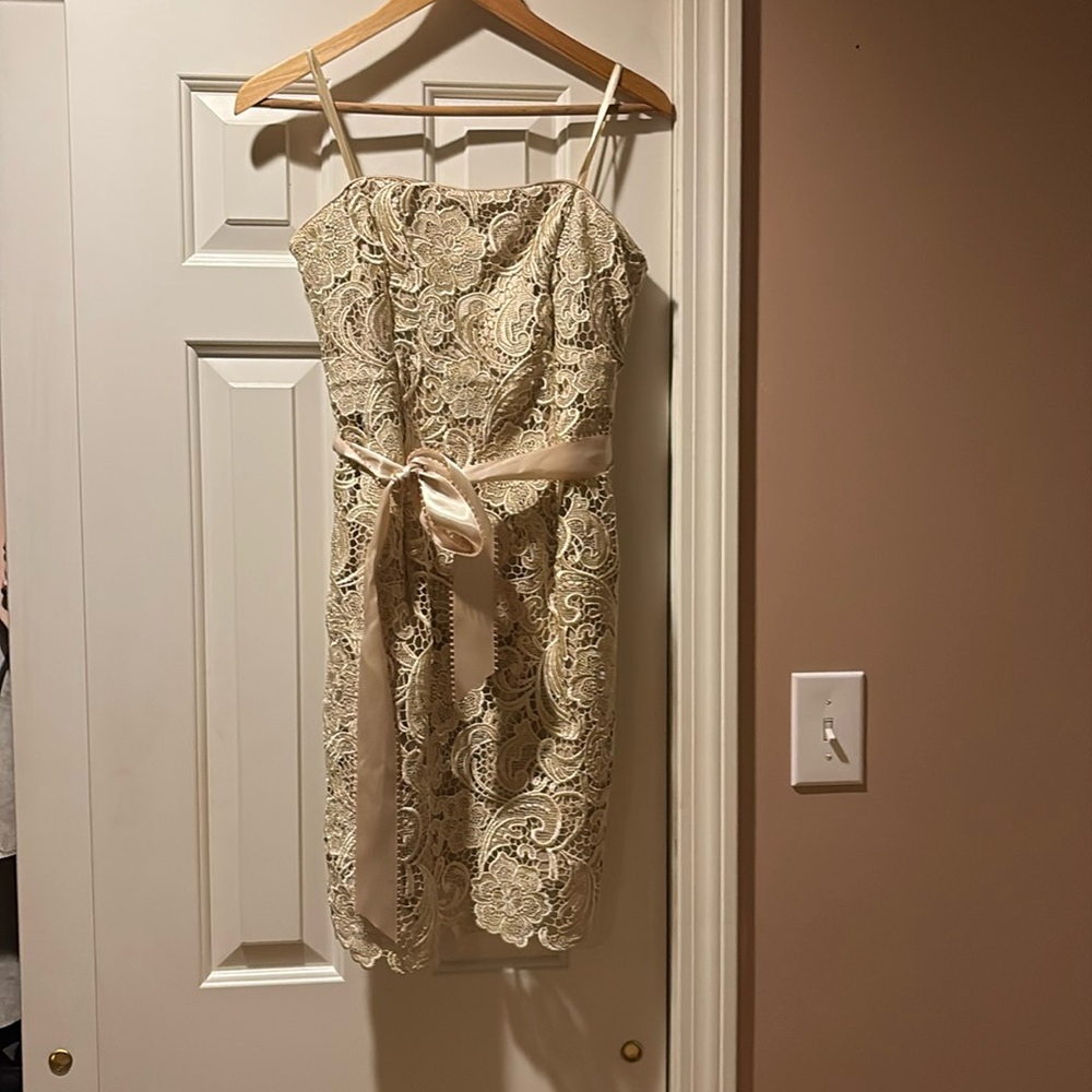 Champagne lace cocktail dress brand new